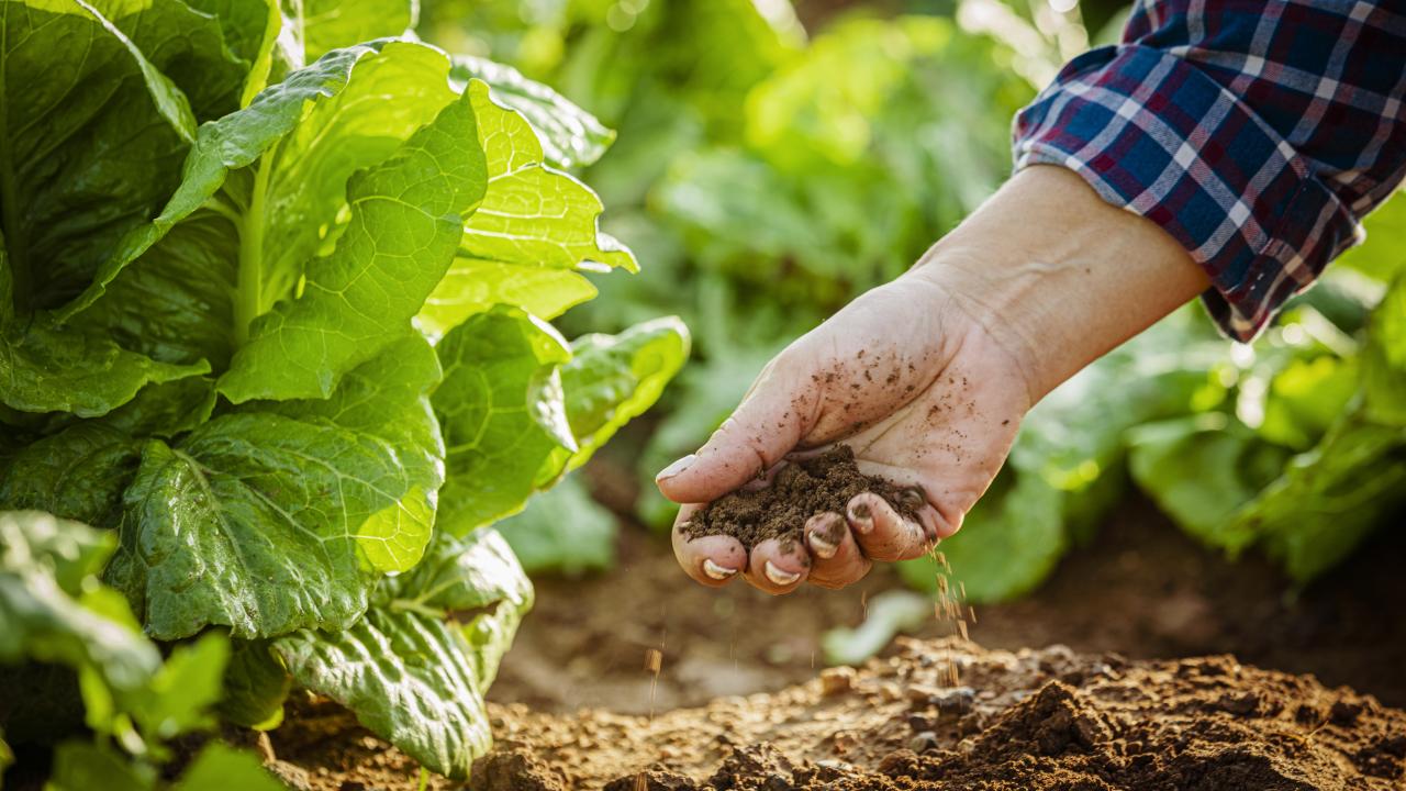 Gıdada sürdürülebilirlik için uluslararası ARGE projeleri desteklenecek